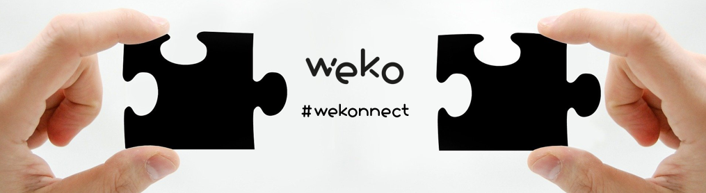 WEKO wekonnect Grafik