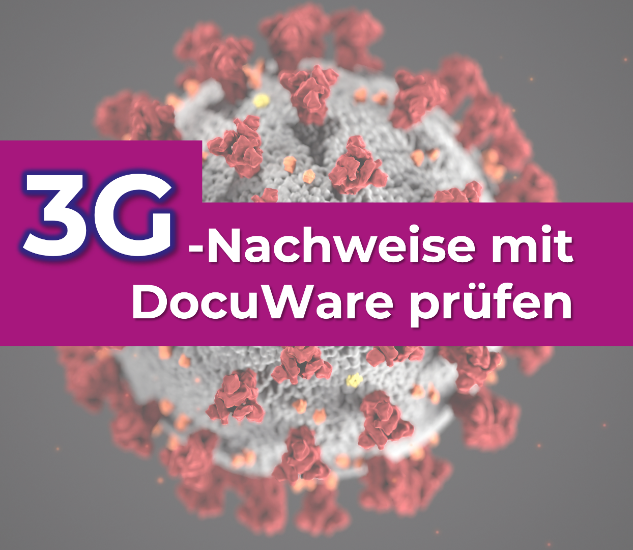 3G Nachweise mit DocuWare prüfen