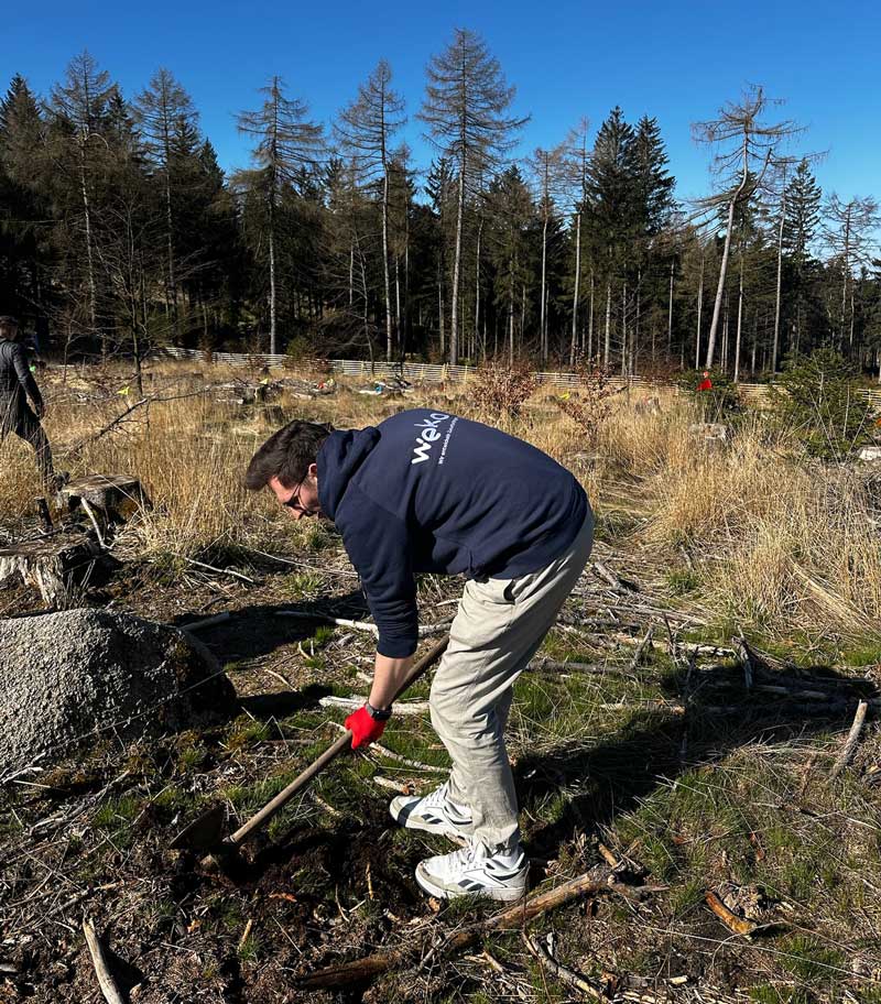 Unser WEKO Wald wächst: 500 neue Bäume & viele helfende Hände
